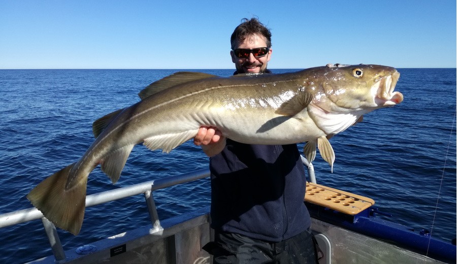 SaBoFlex Fishing Lure Plastisol - SOFT 1kg